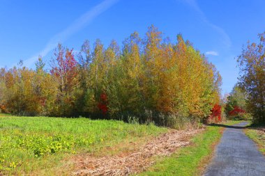 Kuzey Amerika doğudaki Bromont Quebec eyaletleri Kanada 'ya düştü