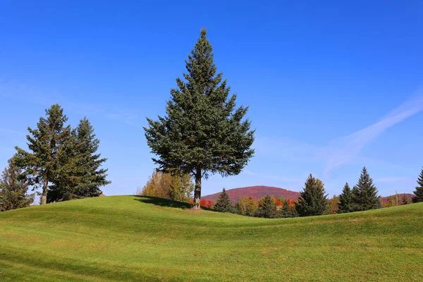 Nordamerika Herbst Landschaft Östlichen Gemeinden Bromont Quebec Provinz Kanada — Stockfoto