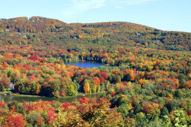 Bromont, Shefford Quebec eyaleti Kanada 'nın sonbahar manzarası