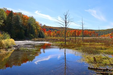 Güz manzarası yansıması Bromont Doğu Kasabası Quebec Bölgesi Kanada