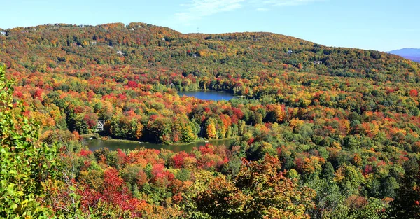 Paisaje Otoñal Municipios Orientales Bromont Shefford Quebec Provincia Canadá — Foto de Stock