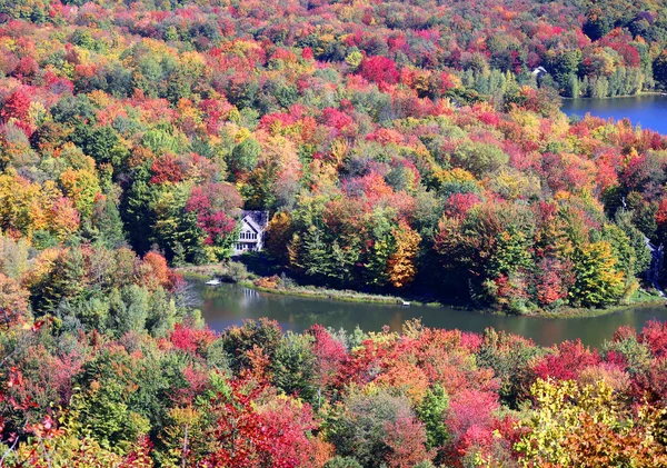 Paisaje Otoñal Municipios Orientales Bromont Shefford Quebec Provincia Canadá —  Fotos de Stock