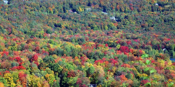 지역의 Bromont Shefford Quebec Province Canada — 스톡 사진