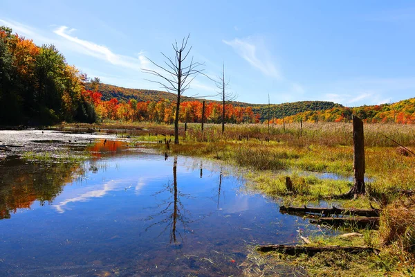Fall Landskap Reflektion Bromont Eastern Township Quebec Provinsen Kanada — Stockfoto
