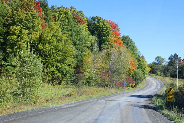 Renkli Ağaçlar Asfalt Yollarla Sonbahar Manzarası — Stok fotoğraf