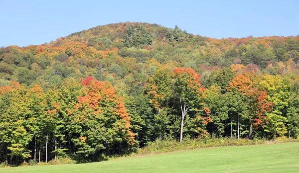 América Del Norte Caída Paisaje Este Municipios Bromont Quebec Provincia — Foto de Stock