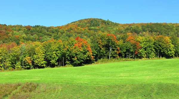 América Del Norte Caída Paisaje Este Municipios Bromont Quebec Provincia — Foto de Stock