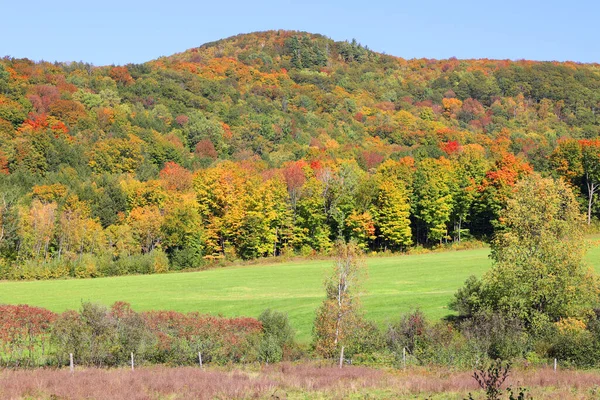 América Norte Queda Paisagem Leste Municípios Bromont Quebec Província Canadá — Fotografia de Stock