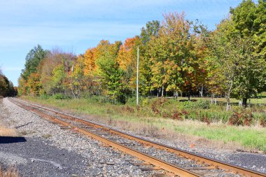 Kanada 'nın Bromont Quebec eyaletinde sonbahar manzarası izleri