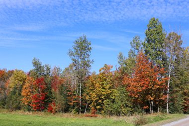 Kuzey Amerika doğudaki Bromont Quebec eyaletleri Kanada 'ya düştü