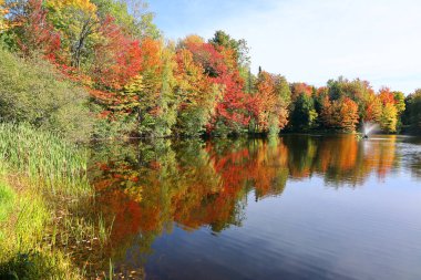 Güz manzarası yansıması Bromont Doğu Kasabası Quebec Bölgesi Kanada