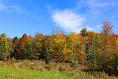 Kuzey Amerika doğudaki Bromont Quebec eyaletleri Kanada 'ya düştü