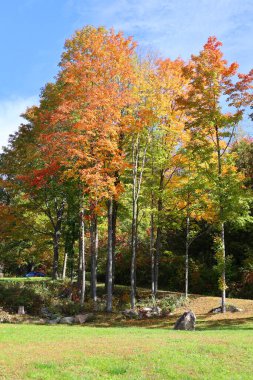 Kuzey Amerika doğudaki Bromont Quebec eyaletleri Kanada 'ya düştü