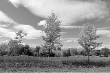 Quebec eyaletinin doğu kasabalarında sonbahar manzarası