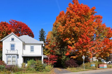 BROMONT QUEBEC CANADA - 10 11 2019: Sonbaharda Bromont, Kanada 'nın Quebec eyaletinin güneybatısında, Mont Brome' un tabanında yer alan bir şehirdir..