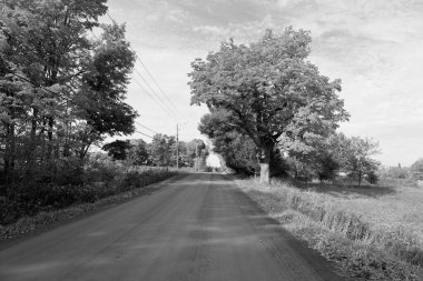 Quebec eyaletinin doğu kasabalarında sonbahar manzarası