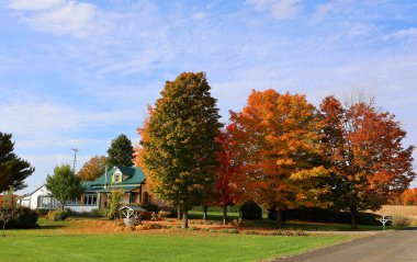 EASTERN TOWNGeIP QUEBEC CANADA 10. 13 2022: Kanada 'nın Quebec eyaletinin sonbahar doğusundaki tipik Kanada evi
