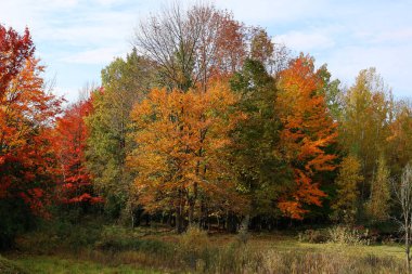 Quebec eyaletinin doğu kasabalarında sonbahar manzarası