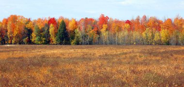 Quebec eyaletinin doğu kasabalarında sonbahar manzarası