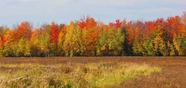 Quebec eyaletinin doğu kasabalarında sonbahar manzarası