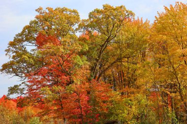 Quebec eyaletinin doğu kasabalarında sonbahar manzarası