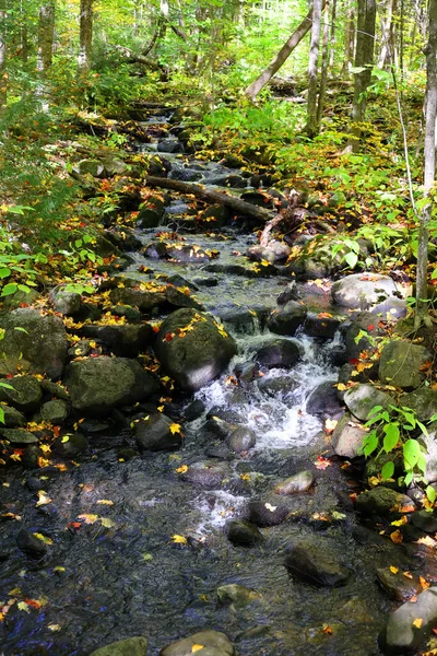 Belle Cascade Avec Des Pierres Dans Forêt — Photo