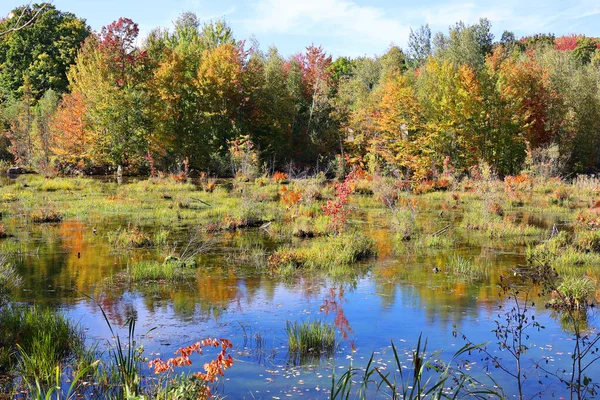 Amérique Nord Paysage Automne Cantons Est Bromont Québec Province Canada — Photo