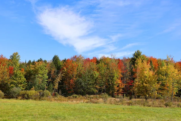 Nordamerika Herbst Landschaft Östlichen Gemeinden Bromont Quebec Provinz Kanada — Stockfoto