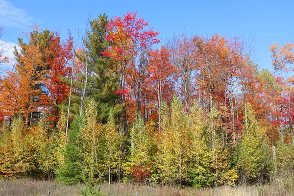 Outono Paisagem Leste Municípios Quebec Província Canadá — Fotografia de Stock