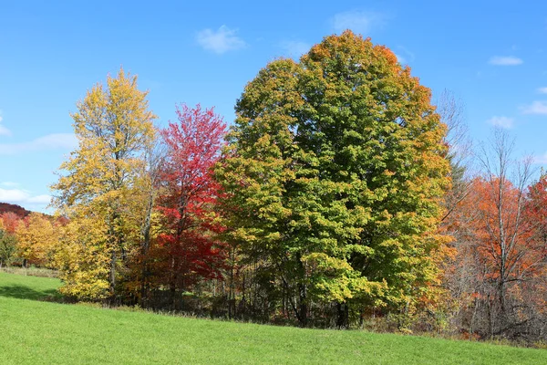 秋の風景東部の町ケベック州カナダ — ストック写真