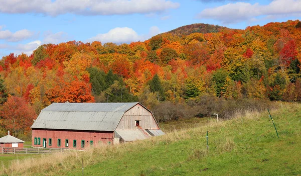 Bromont Quebec Canada 2022 Őszi Táj Régi Farm Vidéki Oldalán — Stock Fotó
