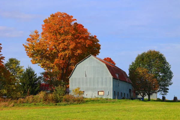 Barn Farm Autumn Season — Stock Photo, Image
