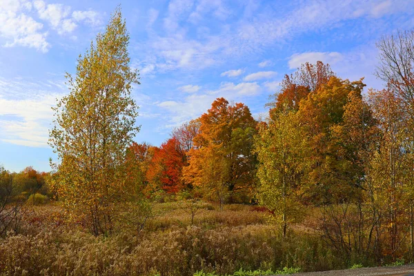 秋の風景東部の町ケベック州カナダ — ストック写真