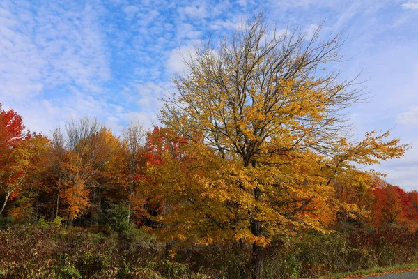 Outono Paisagem Leste Municípios Quebec Província Canadá — Fotografia de Stock