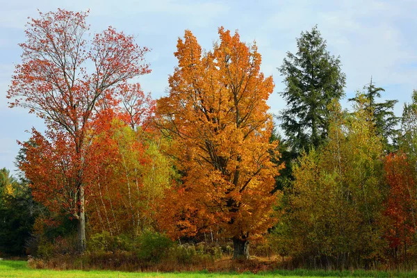 加拿大魁北克省东部城镇秋季景观 — 图库照片