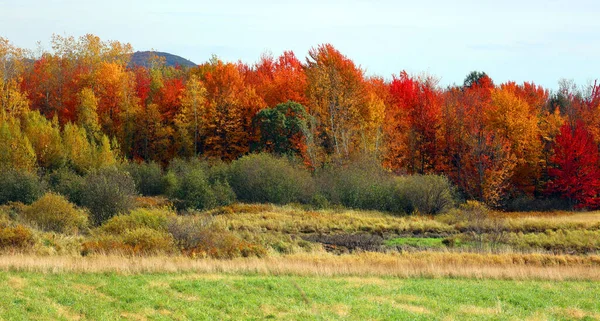 Осенние Пейзажи Восточных Городов Провинции Квебек Канада — стоковое фото