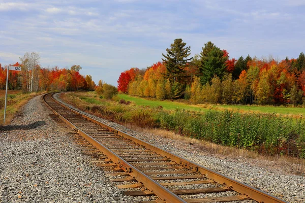 Tory Jesiennym Krajobrazie Wschodnie Miasta Prowincja Bromont Quebec Kanada — Zdjęcie stockowe