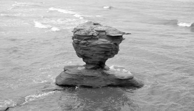 Thunder Cove Sahili 'ndeki Teacup Kayası Prince Island' daki en çok fotoğraflanmış kaya oluşumlarından biridir..