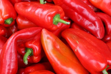 Jean Talon pazarında kırmızı kırmızı kırmızı biber Montreal Quebec Kanada