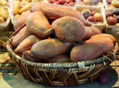 Arka plan olarak taze çiğ organik patates sebzeleri. Çiftçi pazarında satılık tatlı patates. Vejetaryen yemeği ve sağlıklı beslenme. Stok fotoğrafı Yemek arkaplanı olarak tatlı patates