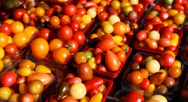 Jean-Talon Market 'teki kiraz domatesleri Montreal' de bir çiftçi pazarıdır. Küçük İtalya bölgesinde yer alan pazar Jean-Talon Caddesi ile sınırlıdır.