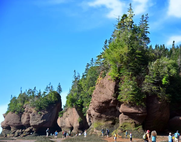 Fundy Öböl Brunswick Canada 2022 Park Látogatói Alacsony Dagálykor Fedezik — Stock Fotó