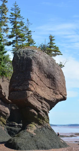 Hopewell Rocks Park Kanada Som Ligger Vid Stranden Bukten Fundy — Stockfoto