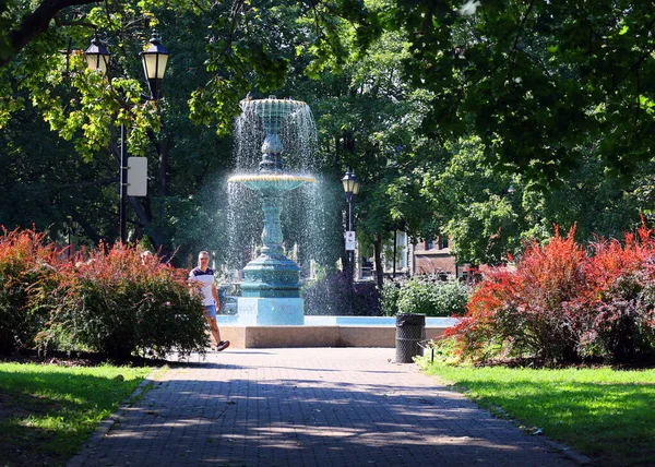 蒙特里特 加拿大2022年10月9日 铸铁喷泉位于圣路易斯广场 是一个喷出的喷泉 有两个盆地 一个位于另一个之上 — 图库照片
