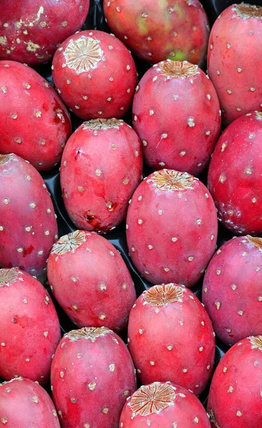 Opuntia Ficus Indica Die Indische Feigenopuntia Feigenopuntia Oder Kaktusfeige Ist — Stockfoto