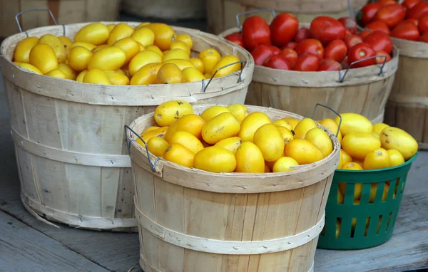 Röda Och Gula Tomater Jean Talon Market Bondens Marknad Montreal — Stockfoto