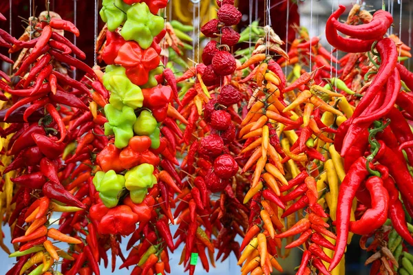 Pimientos Secos Pimientos Choriceros Chiles Guindilla Secos Pimientos Verdes Vascos — Foto de Stock