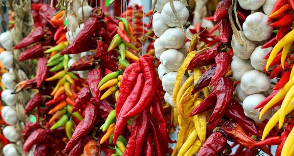 Pimientos Secos Pimientos Choriceros Chiles Guindilla Secos Picantes Piparras Pimientos — Foto de Stock