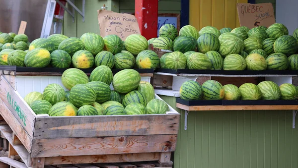 Una Gran Pila Sandías Verdes Frescas Está Mercado Frutas Frescas —  Fotos de Stock