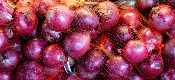 Red Onions Purple Onions Cultivars Onion Allium Cepa Have Purplish — стоковое фото